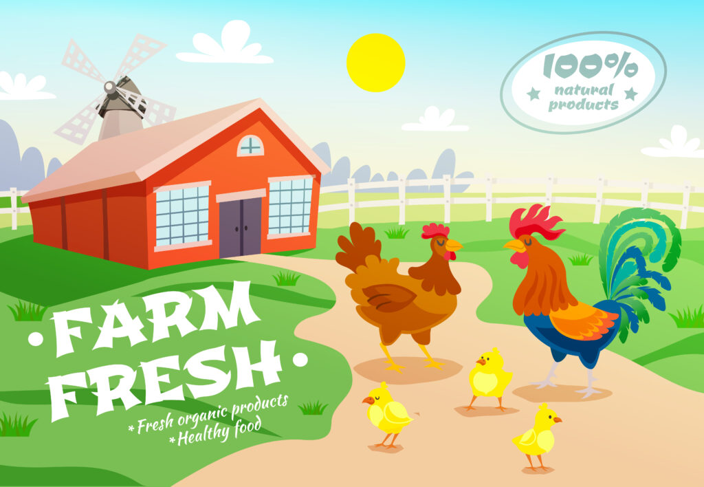 Poultry Farm