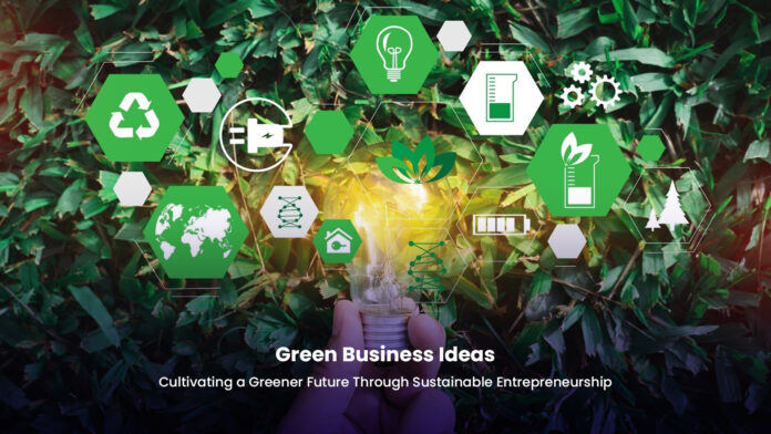 Image collage showcasing sustainable startup ideas including solar energy.